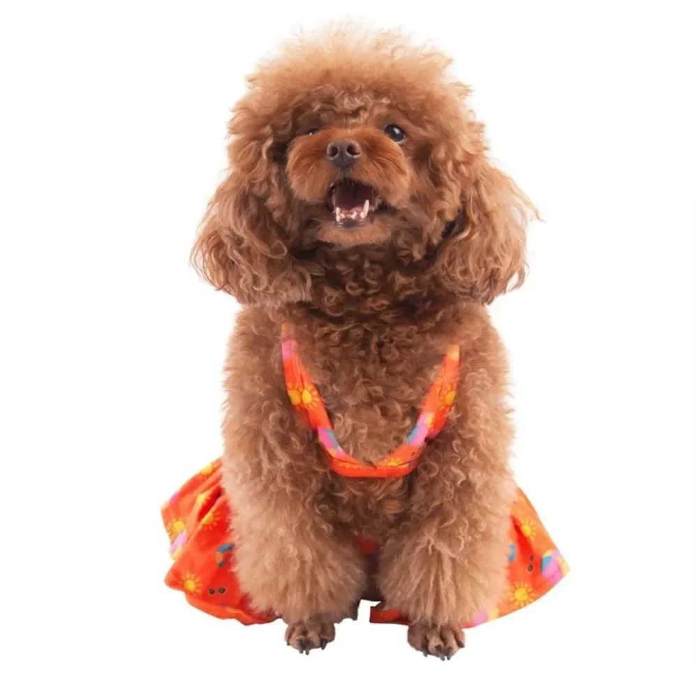 CuteBone Dog Bikini Dress, Stylish Swimsuit Costume For Small Dogs XS L NWT